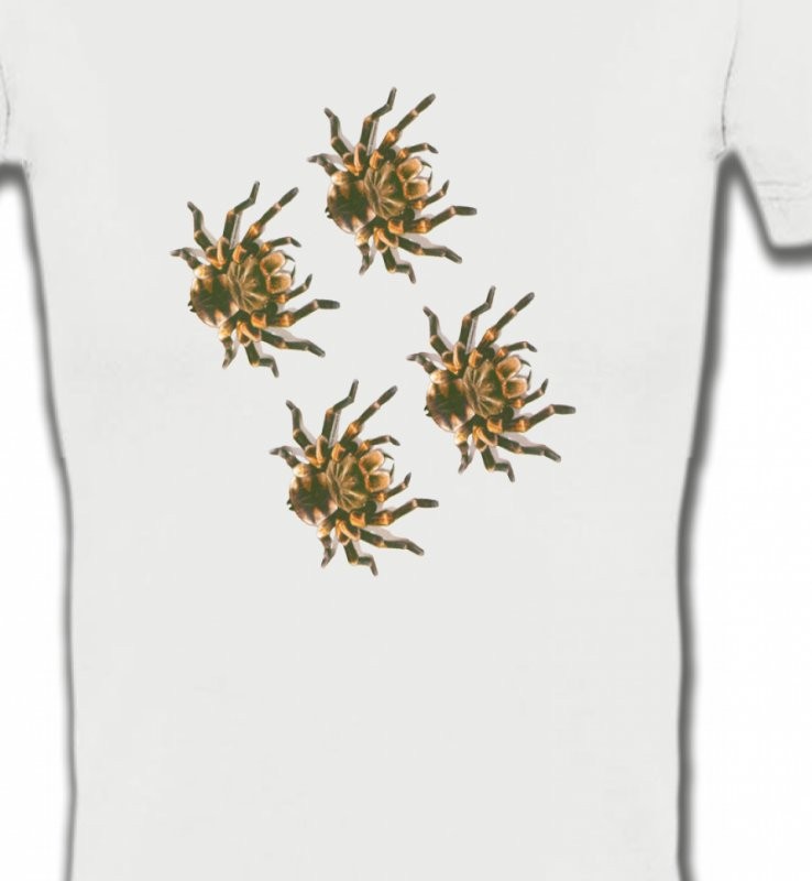 Araignées