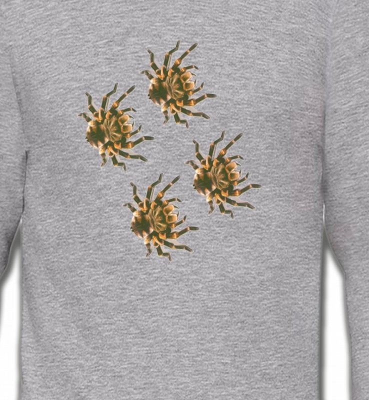 Araignées
