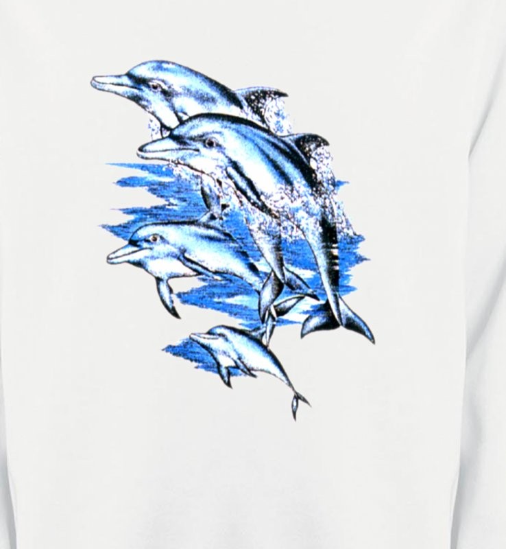 Saut de dauphins