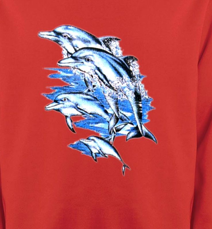 Saut de dauphins