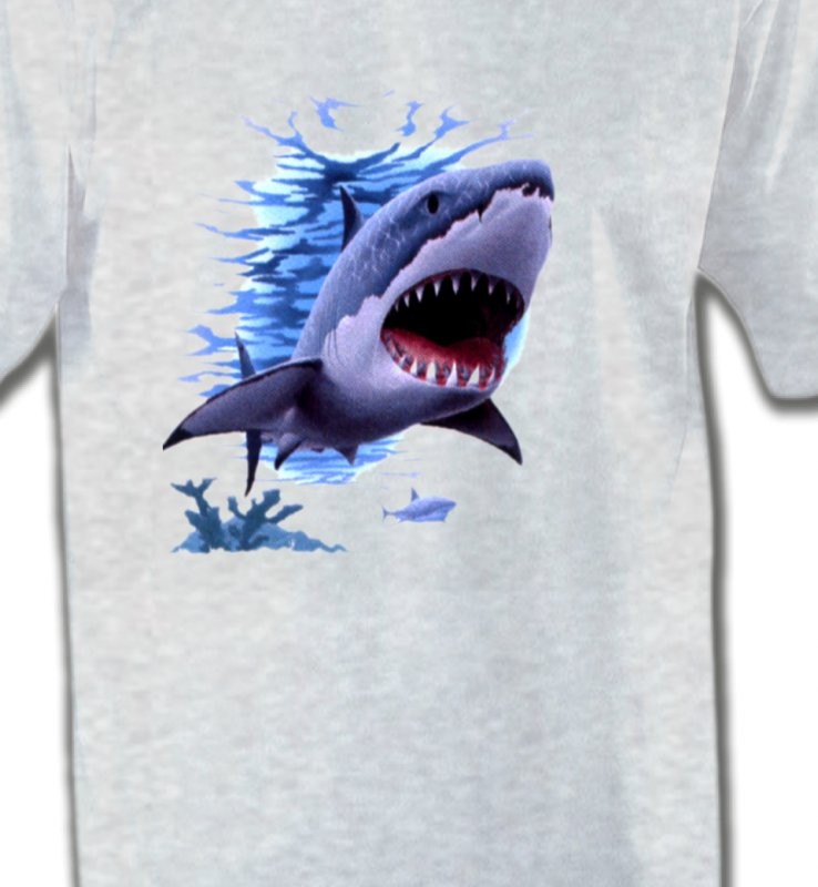 Requin