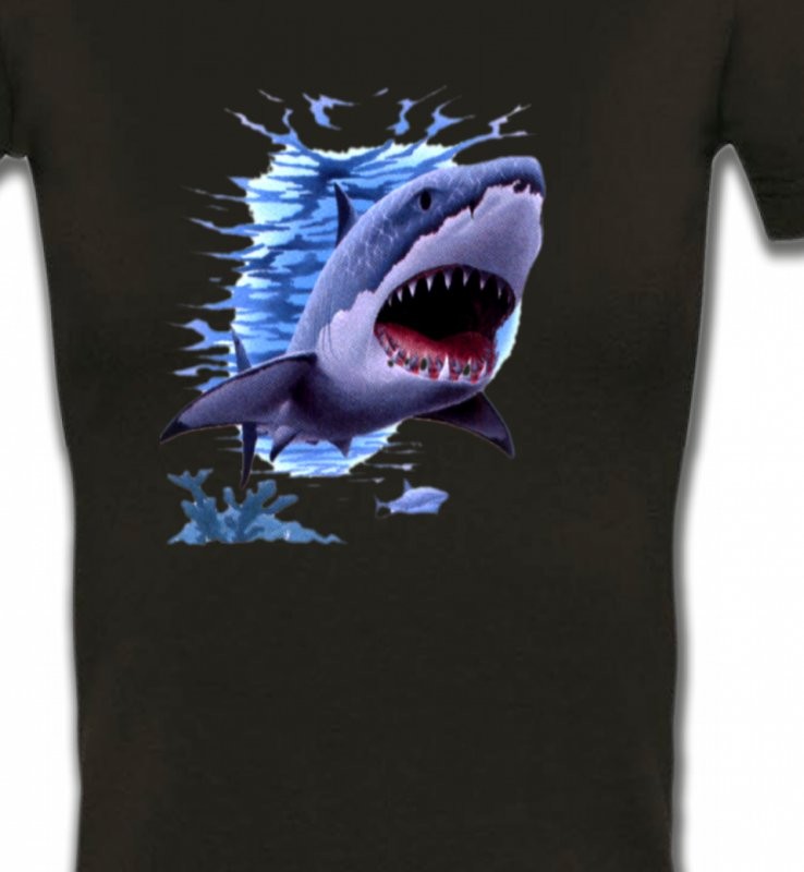 Requin