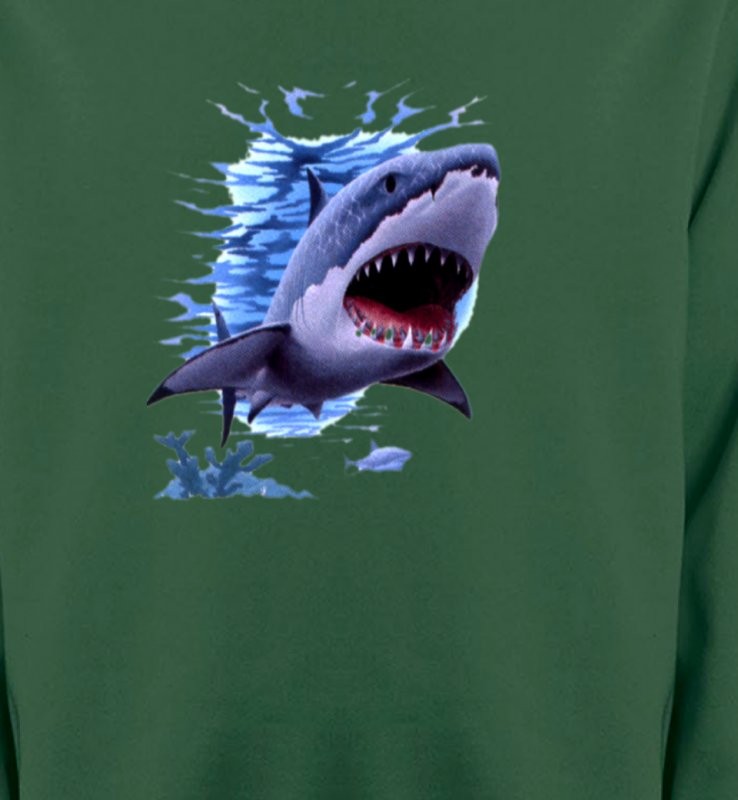 Requin