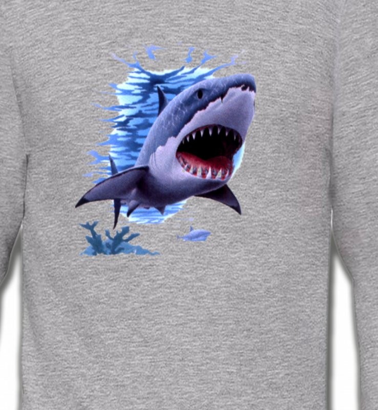 Requin