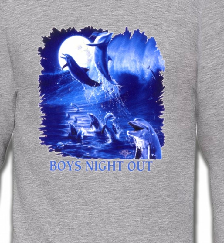 Dauphins au clair de lune