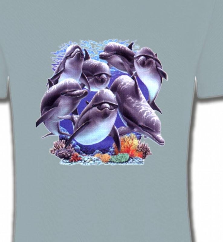 Dauphins