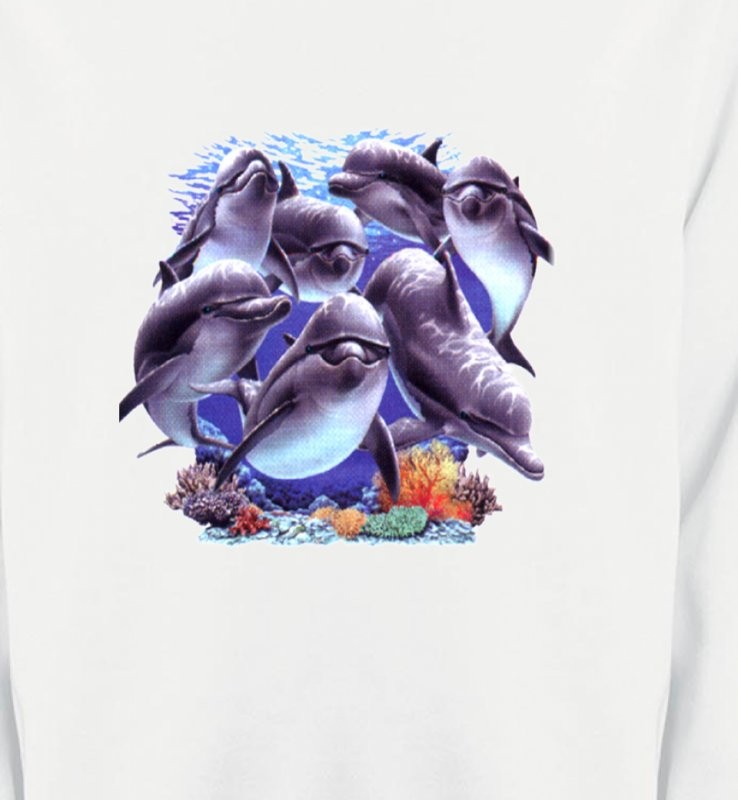 Dauphins