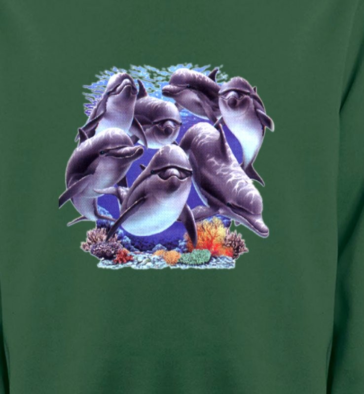 Dauphins