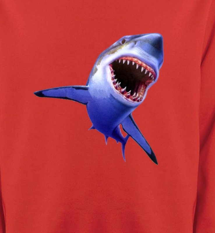 Requin