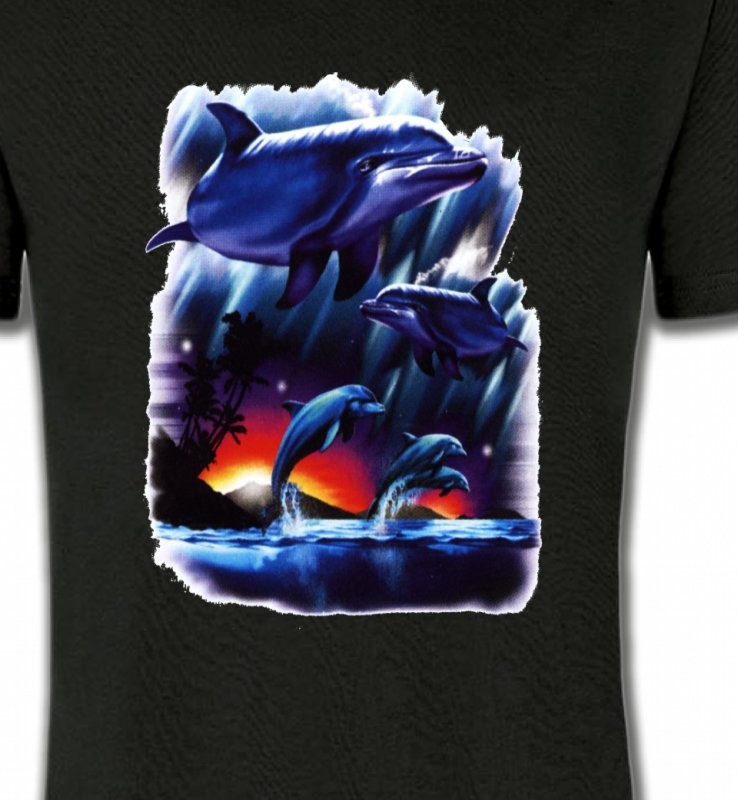 Dauphins au coucher de soleil (W2)