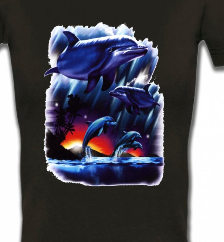 Dauphins au coucher de soleil (W2)