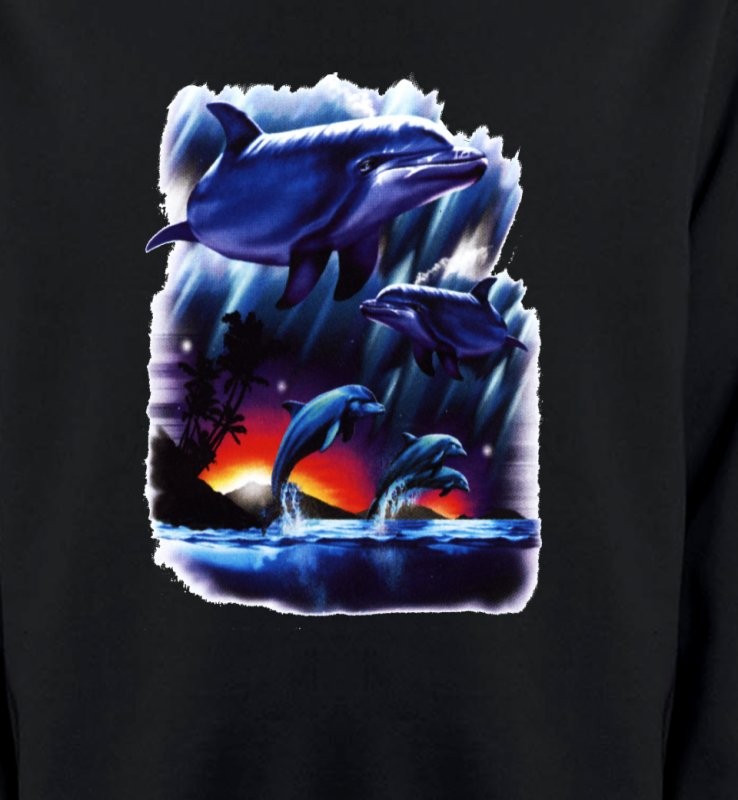 Dauphins au coucher de soleil (W2)