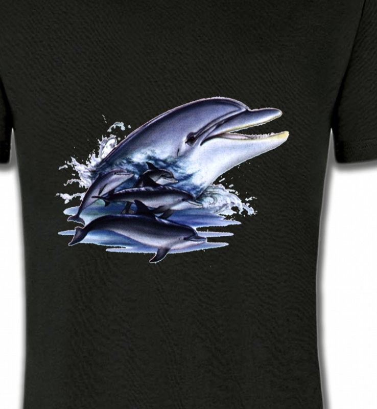 Dauphins (C)