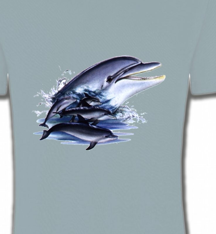 Dauphins (C)