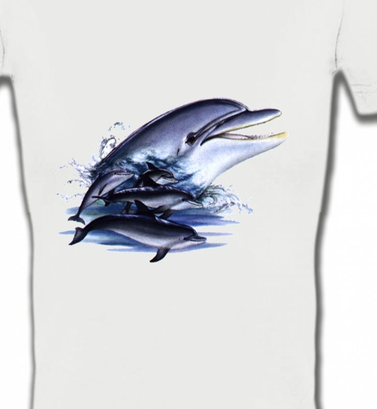Dauphins (C)