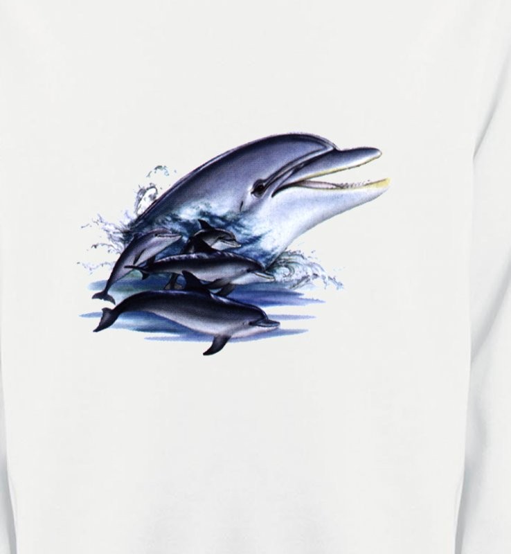 Dauphins (C)