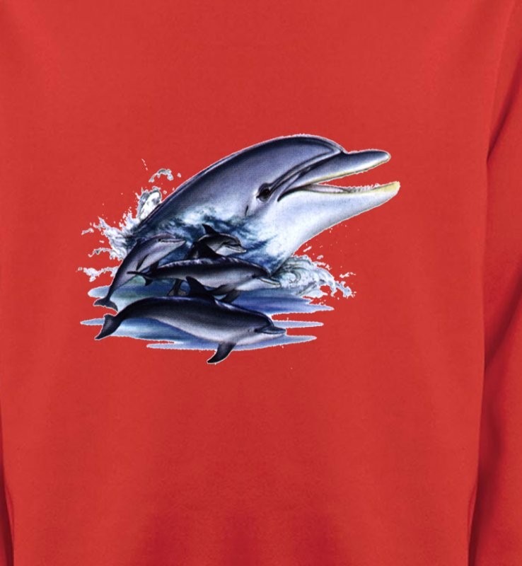 Dauphins (C)