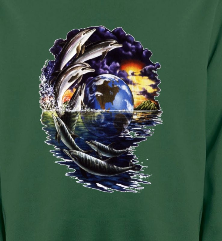 Dauphins (V2)