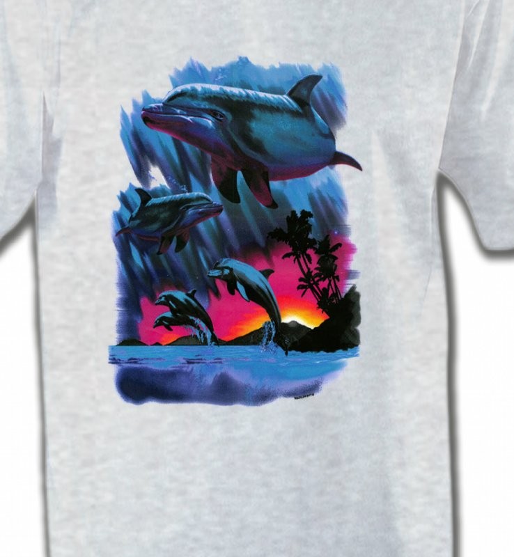 Dauphins au coucher de soleil (W2)