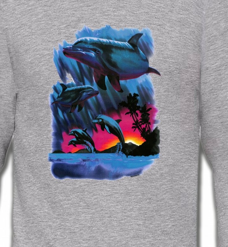 Dauphins au coucher de soleil (W2)