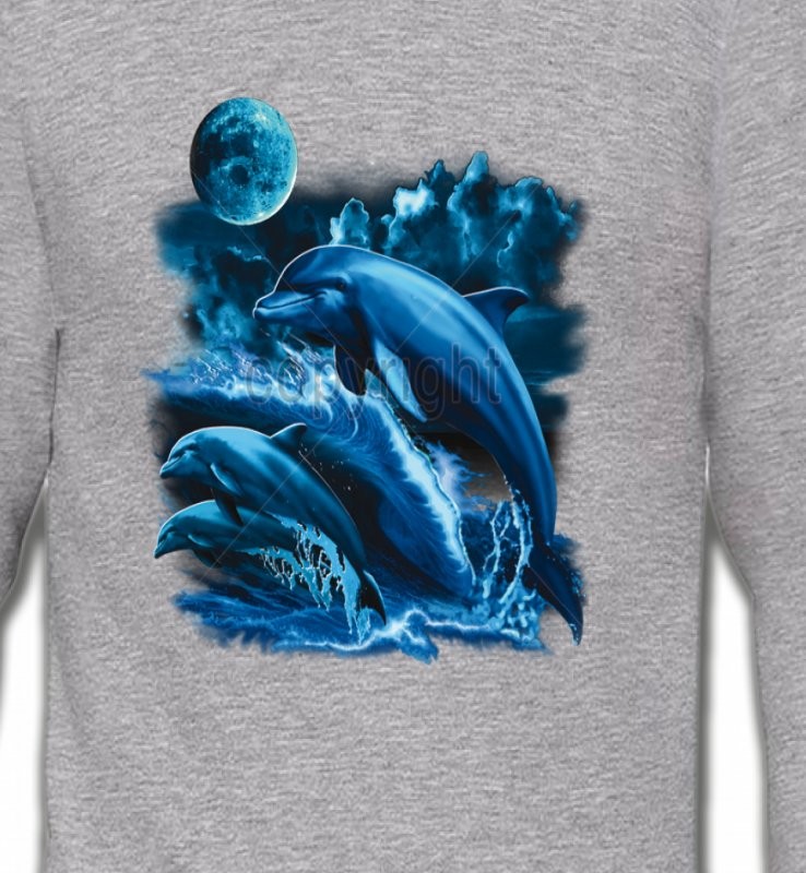 Sauts de dauphins (W2)
