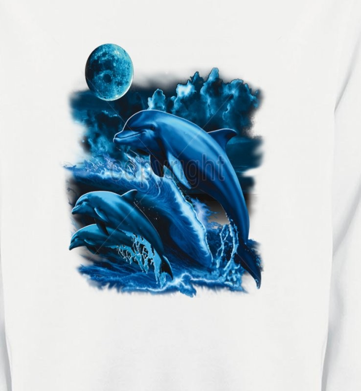 Sauts de dauphins (W2)