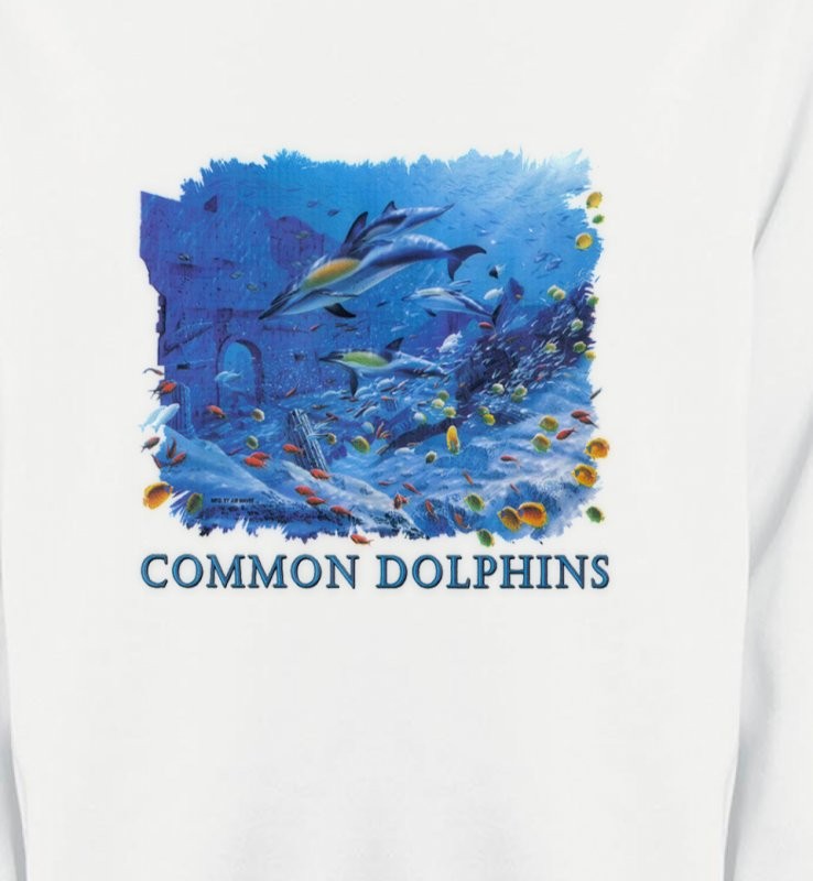 Dauphins qui chassent un banc de poisson (K2)