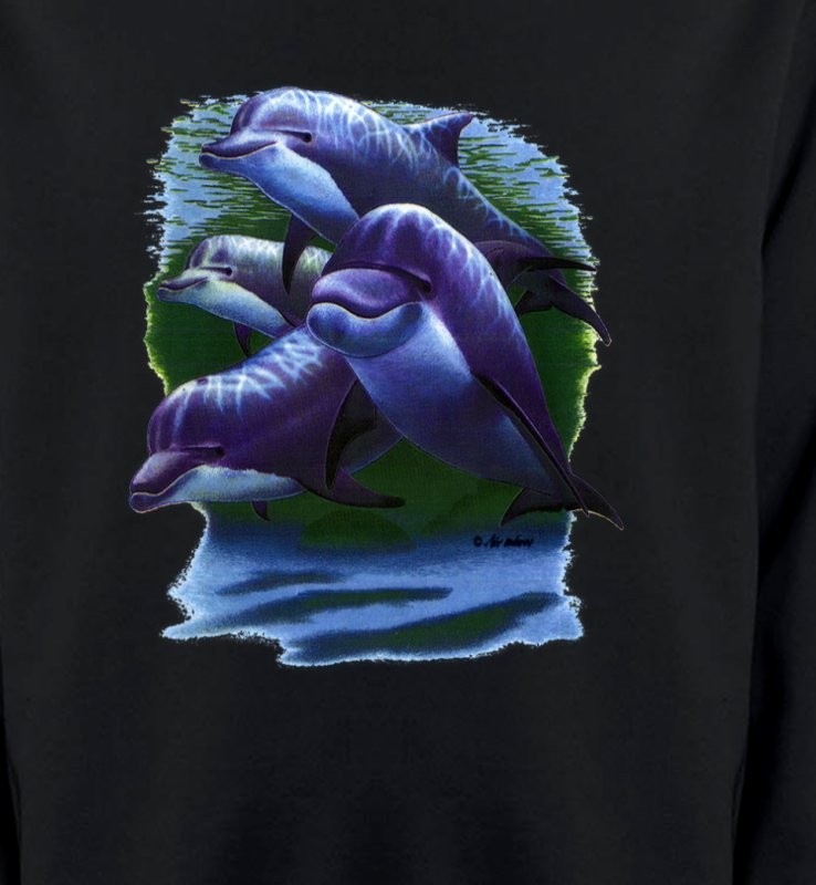 4 dauphins