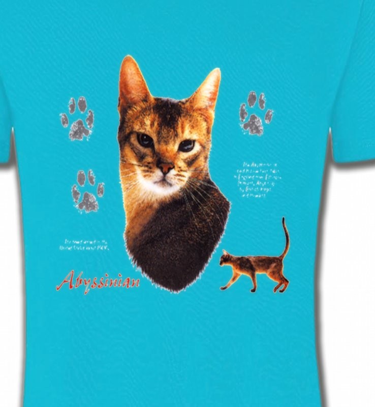 Chat Abyssin (P)