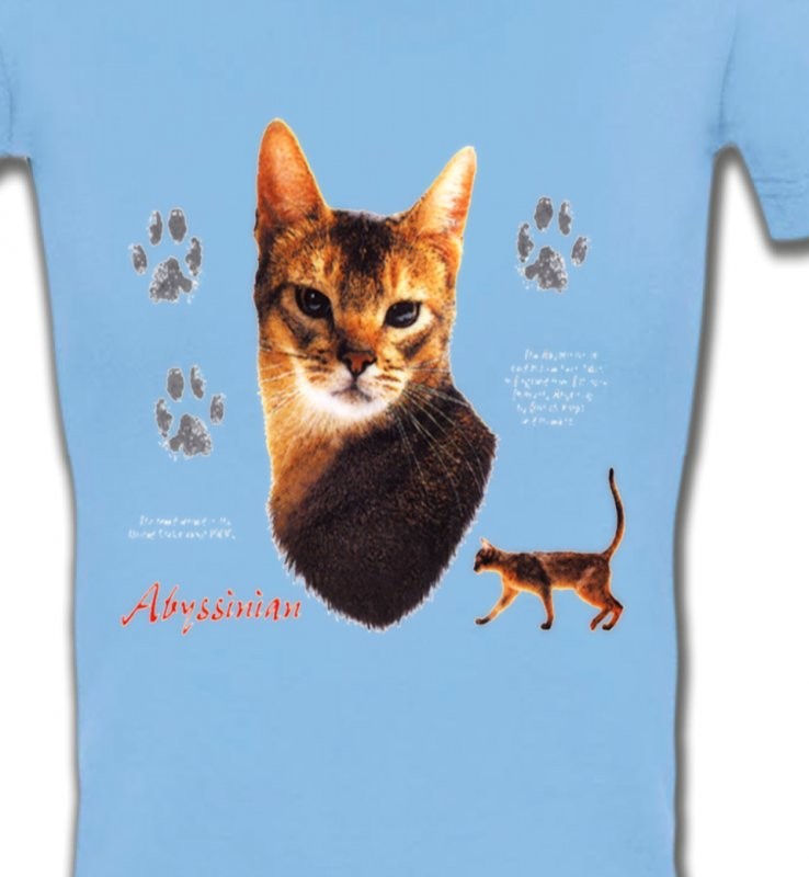 Chat Abyssin (P)