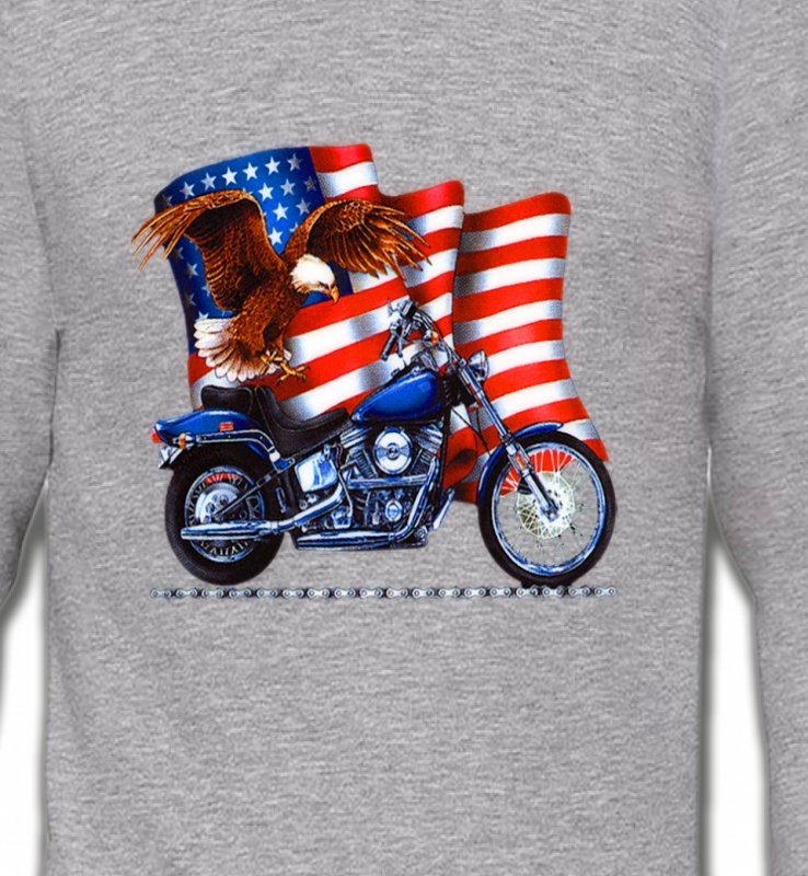 Aigle et moto américaine