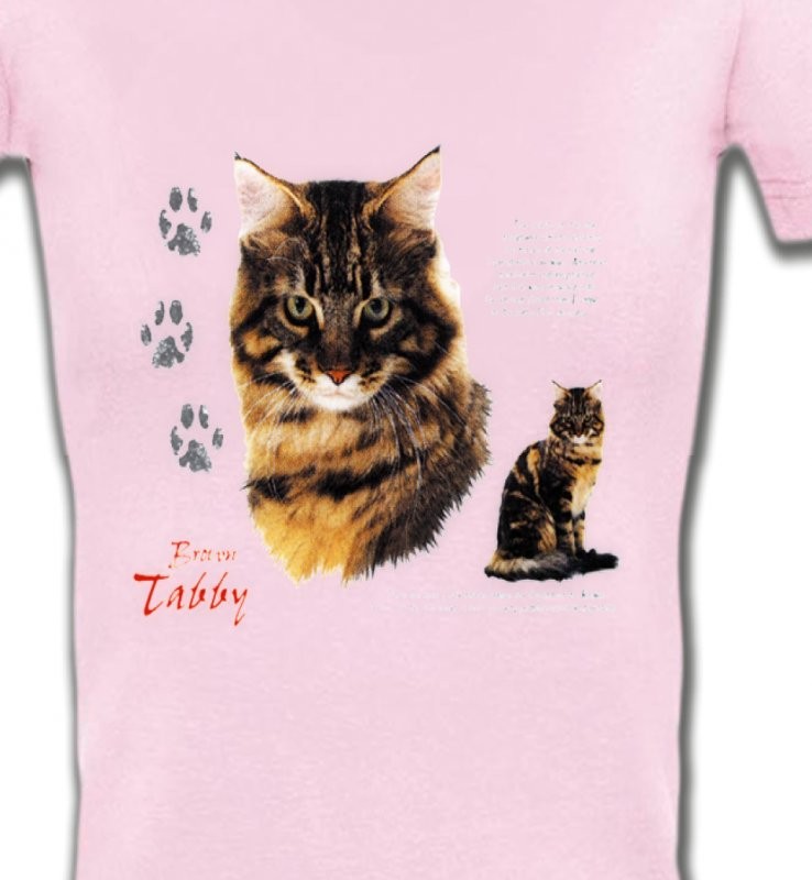 Chat tigré brun (Q)