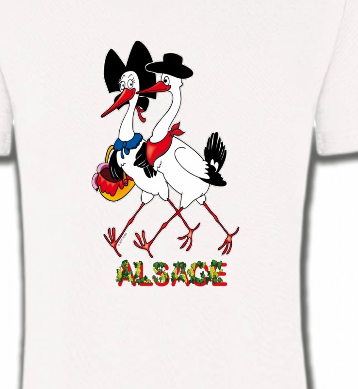Couple De Cigogne