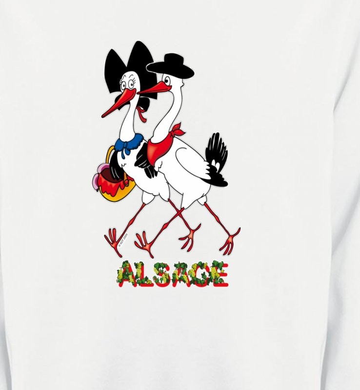 Couple De Cigogne