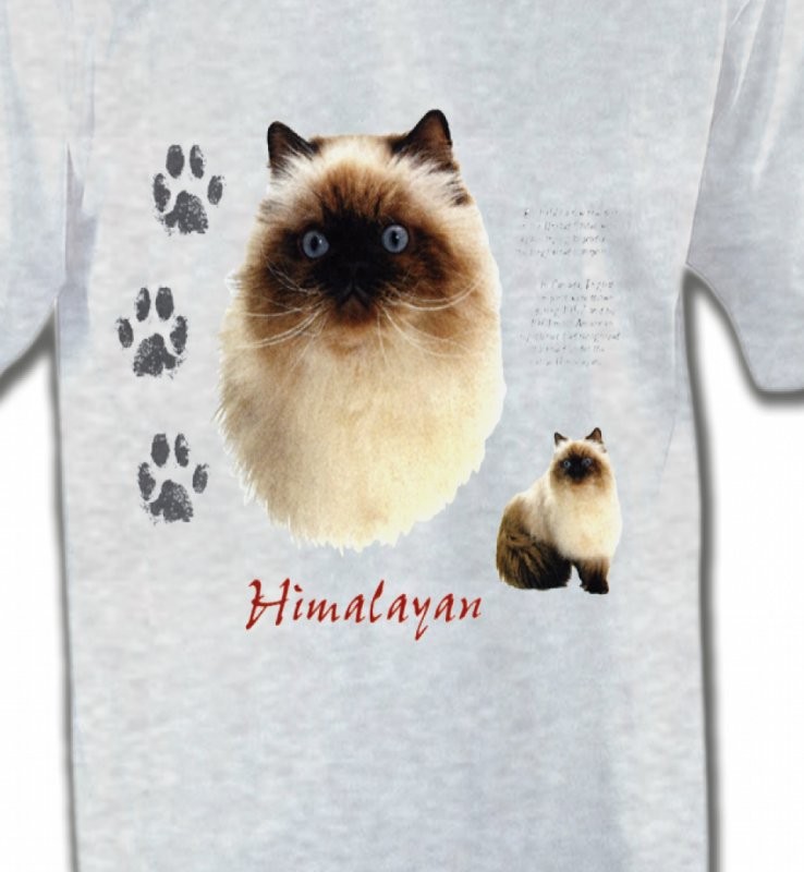 Chat Himalayen (U)