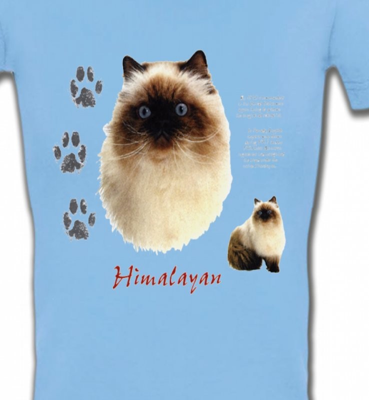 Chat Himalayen (U)