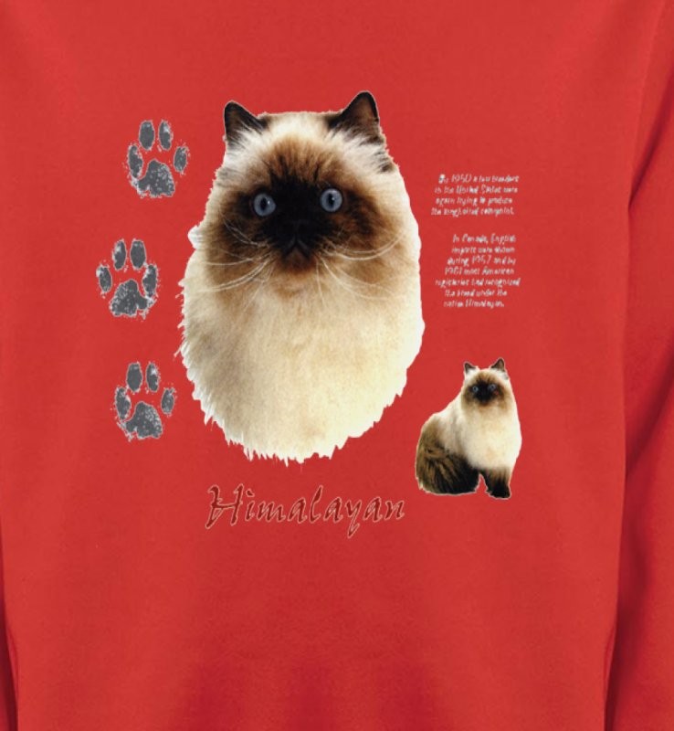 Chat Himalayen (U)