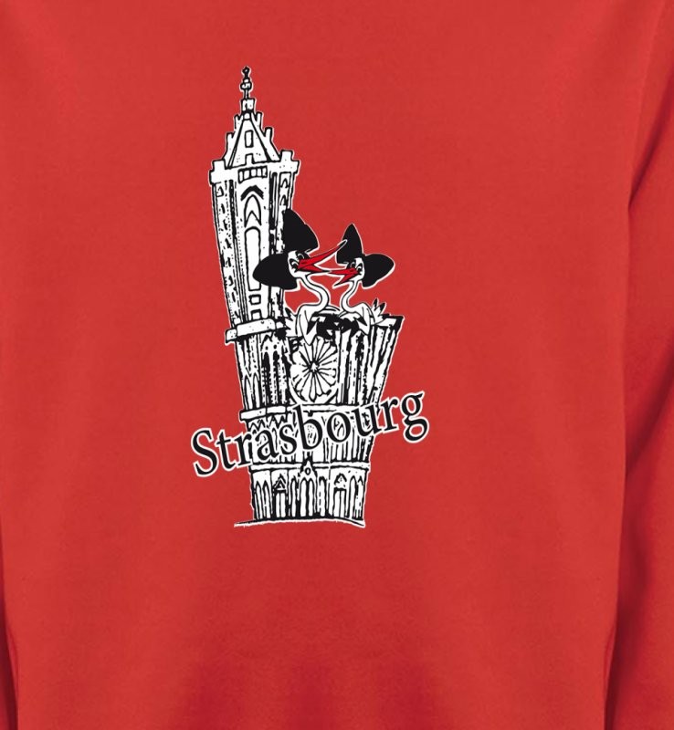 T-Shirt Cathédrale de Strasbourg avec cigognes