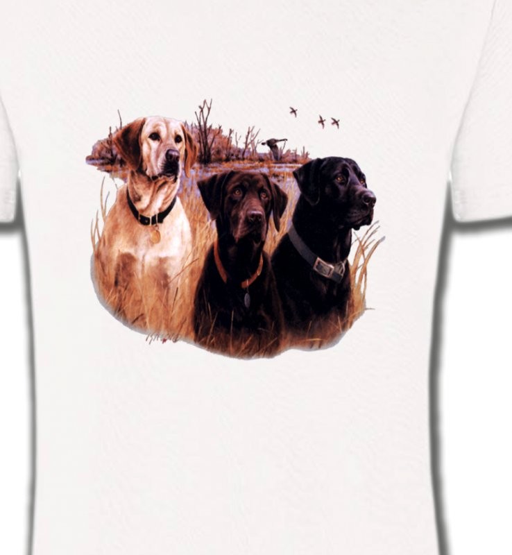 Trois chiens de chasse