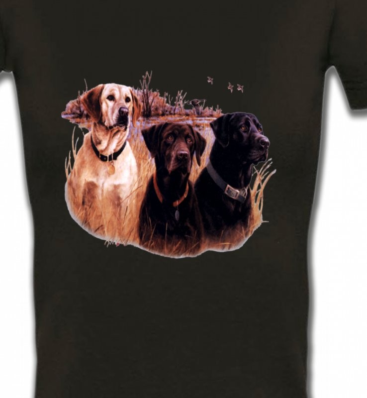 Trois chiens de chasse