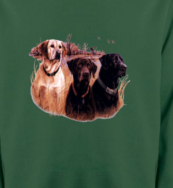 Trois chiens de chasse