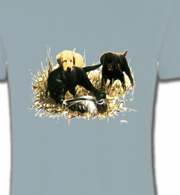 Labradors qui jouent (Y)