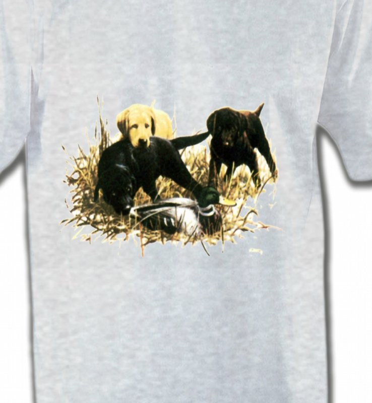 Labradors qui jouent (Y)