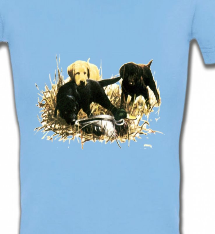 Labradors qui jouent (Y)
