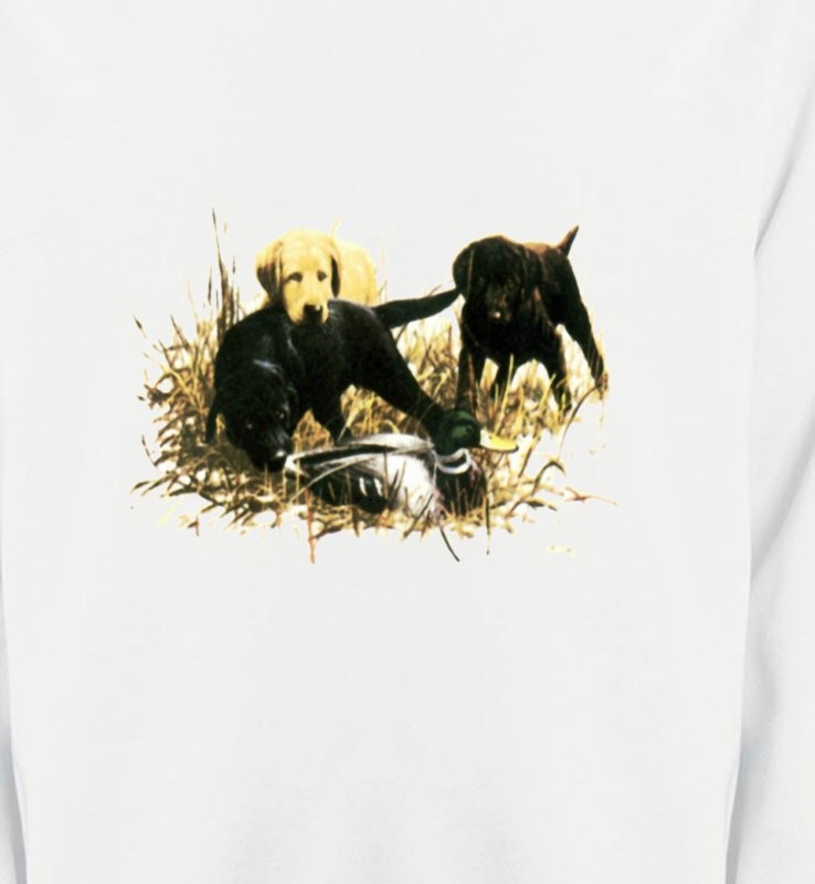 Labradors qui jouent (Y)