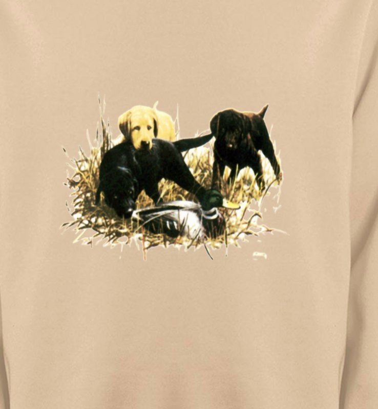Labradors qui jouent (Y)