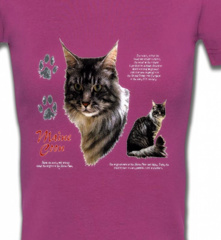 Chat Maine Coon gris (M)