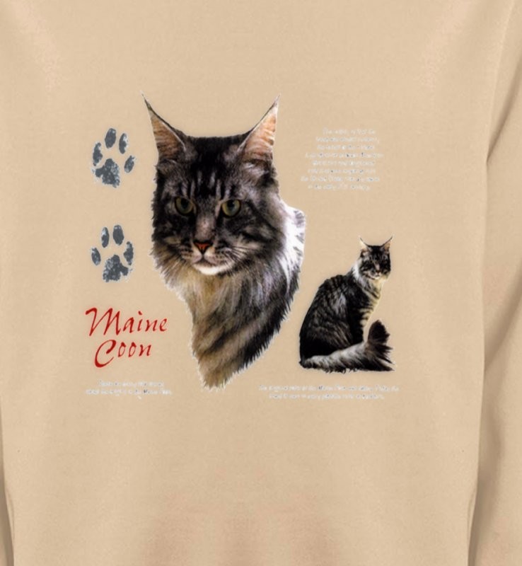 Chat Maine Coon gris (M)