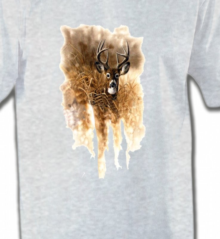 Cerf en forêt