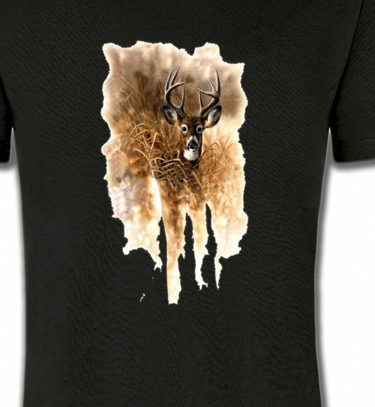 Cerf en forêt